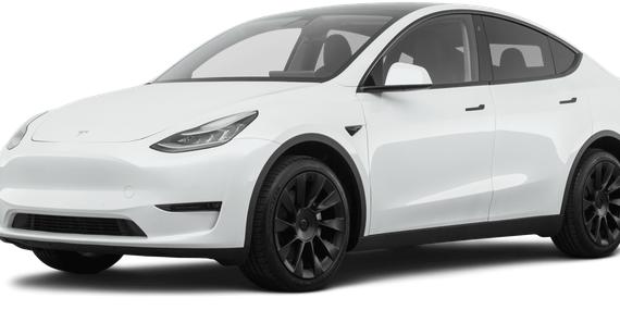 TESLA MODEL Y 2021 5YJYGDEE3MF063952 image